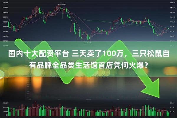 国内十大配资平台 三天卖了100万，三只松鼠自有品牌全品类生活馆首店凭何火爆？